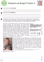 Vorschau - Stundenentwürfe - Materialpaket: Entwurf + Material zur Entstehung von Trisomie 21 Genommutation Nondisjunktion Meiose - Seite 2