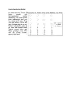 Vorschau - Spiele - Reifen-Staffel 2 - Aufwärmübung - Deckblatt