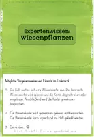 Vorschau - Arbeitsblätter - Wissenskartei Wiesenpflanzen | Sachunterricht Klasse 2-4 - Seite 3