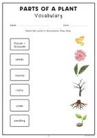 Aperçu - Préparation de séance / Séance complète - Plants Activity Book | Science | Biology | English #TimeForClimateAction - Page 3