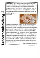 Vorschau - Arbeitsblätter - Escaperoom Nomen - Seite 3