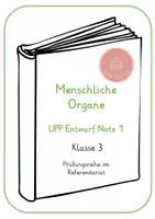 Vorschau - Stundenentwürfe - Materialpaket: Menschliche Organe - Seite 1