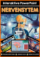 Vorschau - Unterrichtsreihen - Das Nervensystem - Der Mensch | Interaktive PowerPoint - Sofort einsetzbar - Fesselnde Animationen & Elemente - Deckblatt