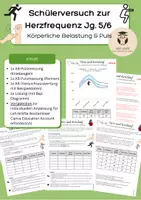 Vorschau - Arbeitsblätter - Beeinflussung der Herzfrequenz: Schülerversuch zum Puls Jg. 5/6 Herz-Kreislauf-System - Deckblatt