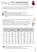 Vorschau - Arbeitsblätter - Beeinflussung der Herzfrequenz: Schülerversuch zum Puls Jg. 5/6 Herz-Kreislauf-System - Seite 3