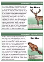 Vorschau - Arbeitsblätter - Wissenskartei - Heimische Wild- und Waldtiere - Seite 2