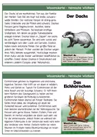 Vorschau - Arbeitsblätter - Wissenskartei - Heimische Wild- und Waldtiere - Seite 3