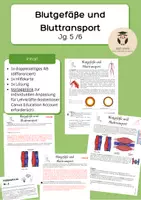Vorschau - Unterrichtsreihen - Aufbau und Funktion der Blutgefäße (Bluttransport Jg. 5/6): Arterien, Venen, Kapillaren - Deckblatt