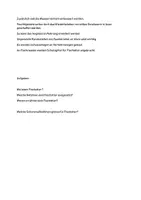 Vorschau - Arbeitsblätter - Materialpaket Geschützte Tierarten - Seite 3