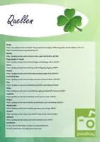Vorschau - Arbeitsblätter - Flyer - Let's travel to the Republic of Ireland - Seite 2