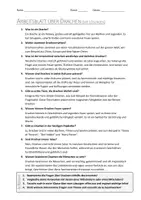 Vorschau - Arbeitsblätter - AB mit Fragen zum Thema "Drache" + Lösungsblatt + Infografik - Seite 2