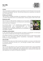 Vorschau - Arbeitsblätter - Der Affe - Arbeitsblatt (Infotext und Übungen) - Deckblatt