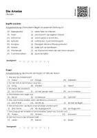 Vorschau - Arbeitsblätter - Die Ameise - Arbeitsblatt (Infotext und Übungen) - Seite 1