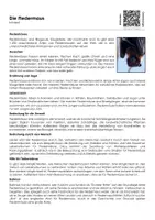 Vorschau - Arbeitsblätter - Die Fledermaus - Arbeitsblatt (Infotext und Übungen) - Deckblatt