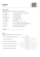 Vorschau - Arbeitsblätter - Die Biene (Infotext und Übungen) - Deckblatt