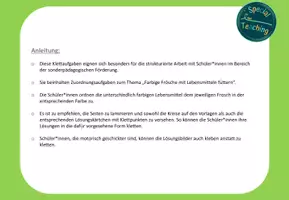 Vorschau - Fördermaterial/Inklusion - Bundle: Frösche füttern - Seite 2