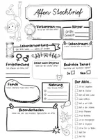 Vorschau - Arbeitsblätter - Steckbrief Affe - Seite 2