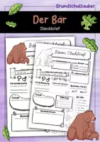 Vorschau - Arbeitsblätter - Steckbrief Bär - Deckblatt
