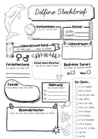 Vorschau - Arbeitsblätter - Steckbrief Delfin - Seite 2