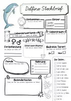 Vorschau - Arbeitsblätter - Steckbrief Delfin - Seite 1
