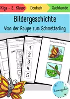 Vorschau - Arbeitsblätter - Bildergeschichte: Von der Raupe zum Schmetterling - Seite 1