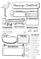 Vorschau - Arbeitsblätter - Steckbrief Flamingo - Seite 2