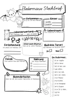 Vorschau - Arbeitsblätter - Steckbrief Fledermaus - Seite 2