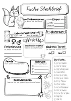 Vorschau - Arbeitsblätter - Steckbrief Fuchs - Seite 2