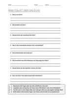 Vorschau - Arbeitsblätter - AB mit Fragen zum Thema "Echo" + Lösungsblatt + Infografik - Deckblatt
