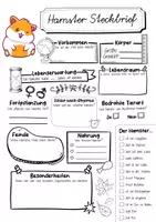 Vorschau - Arbeitsblätter - Steckbrief Hamster - Seite 1