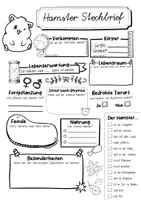 Vorschau - Arbeitsblätter - Steckbrief Hamster - Seite 2