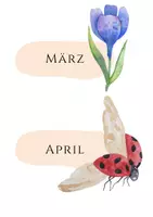 Vorschau - Poster - Geburtstagskalender zum Thema Biene (Klassenraumverschönerung) - Seite 3