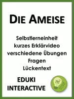 Vorschau - Arbeitsblätter - Die Ameise (Materialpaket) - Seite 2