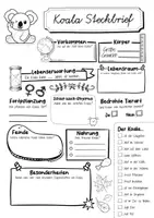 Vorschau - Arbeitsblätter - Steckbrief Koala - Seite 2