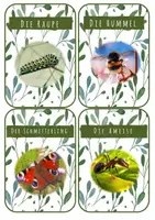 Vorschau - Poster - Kurze Tiersteckbriefe mit Bildern - Seite 3