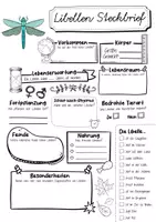 Vorschau - Arbeitsblätter - Steckbrief Libelle - Seite 1