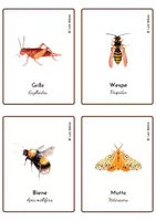 Aperçu - Jeux - LES INSECTES 1 - JEU DE CARTES / EN ALLEMAND. - Page 3