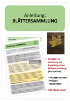 Vorschau - Stundenentwürfe - Anleitung Erstellen einer BLÄTTERSAMMLUNG (Herbarium) - Deckblatt