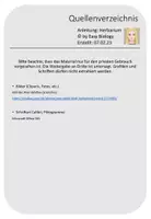 Vorschau - Stundenentwürfe - Anleitung Erstellen einer BLÄTTERSAMMLUNG (Herbarium) - Seite 3