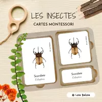 Aperçu - Jeux - LES INSECTES 1 - Cartes Montessori en Allemand. - Page de couverture