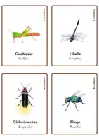 Aperçu - Jeux - LES INSECTES 1 - Cartes Montessori en Allemand. - Page 2