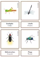 Aperçu - Jeux - LES INSECTES 1 - Cartes Montessori en Allemand. - Page 3