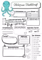Vorschau - Arbeitsblätter - Steckbrief Oktopus - Seite 1