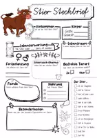 Vorschau - Arbeitsblätter - Steckbrief Stier - Seite 2