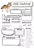 Vorschau - Arbeitsblätter - Steckbrief Wolf - Seite 2