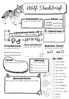 Vorschau - Arbeitsblätter - Steckbrief Wolf - Seite 3