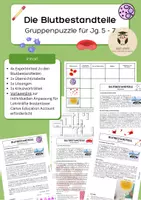 Vorschau - Unterrichtsreihen - Materialpaket: Unterrichtsreihe Herz-Kreislauf-System Jg. 5/6 Gymnasium Gesamtschule Bio NaWi - Seite 1
