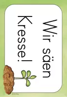 Vorschau - Arbeitsblätter - Kresse säen - Kresse pflanzen (Beobachtungsbogen & Tafelmaterial) - Seite 3