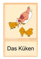 Vorschau - Arbeitsblätter - Die Hühnerfamilie: Bildkarten und Arbeitsblätter - Seite 3