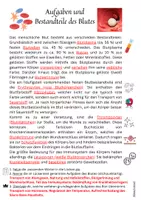 Vorschau - Arbeitsblätter - Freebie: Aufgaben und Bestandteile des Blutes Jg. 5-7 (Lückentext) Abschluss / Wdh. - Seite 2